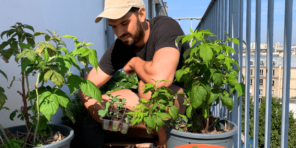 Cedric doing is best to have a wonderful balcony gardening