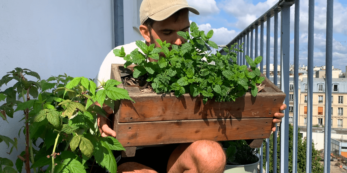 Cédric doing gardening in pots for beginners on his balcony