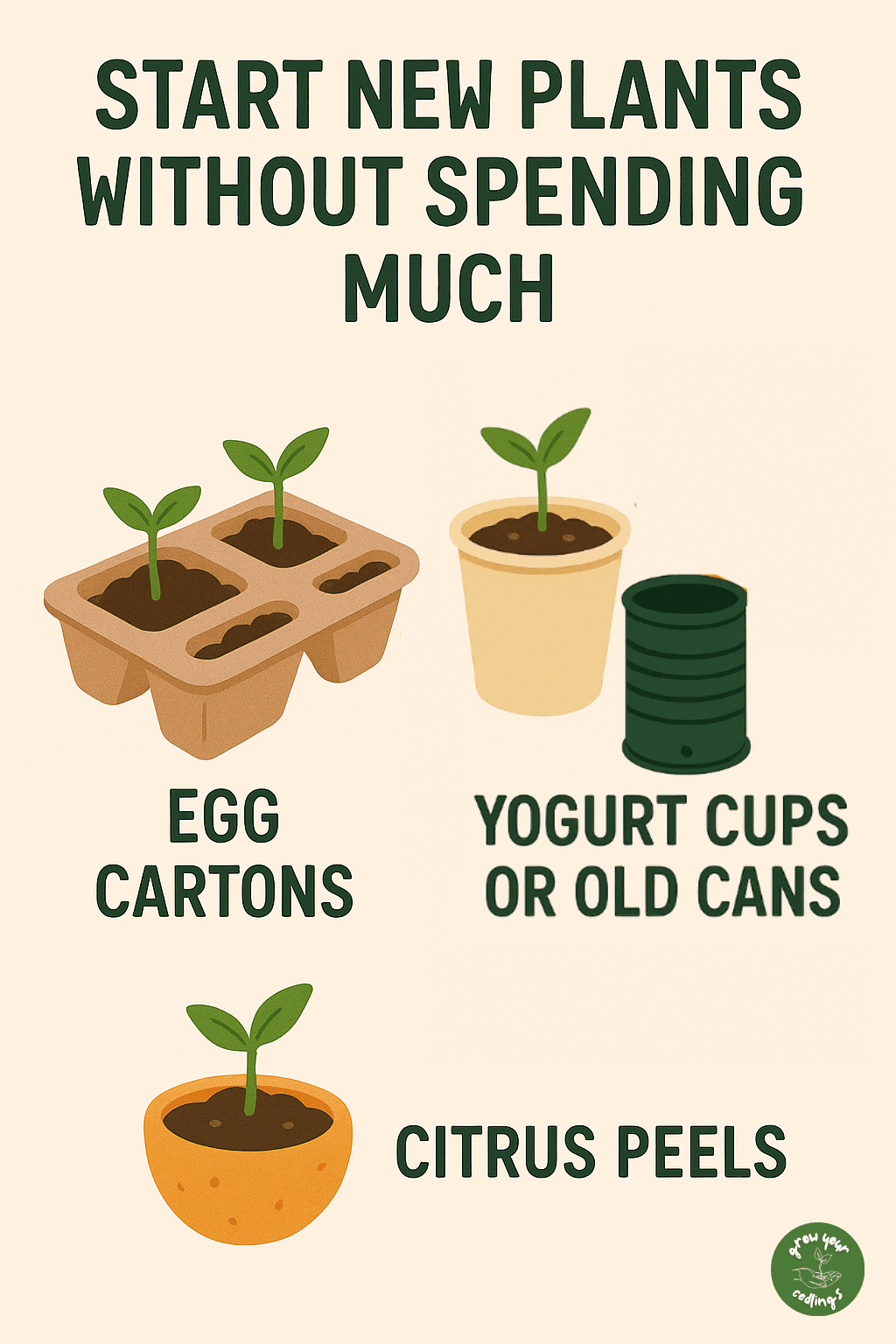 Infographic showing budget-friendly ways to start new plants
