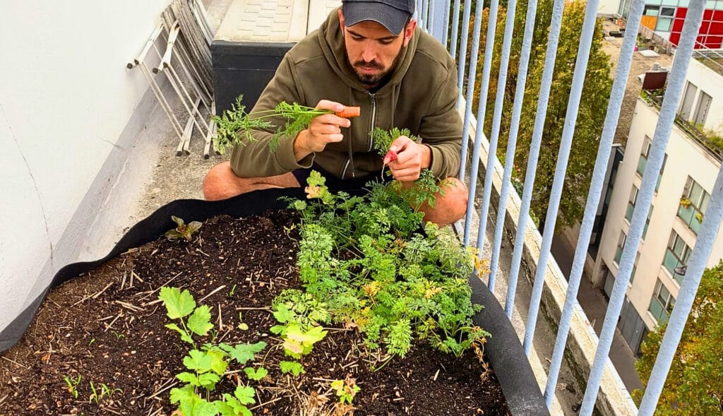 Cédric is eating a carrot that grows in pots on its balcony gardening