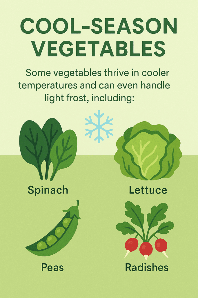 Infographic showing cool-season vegetables that handle light frost