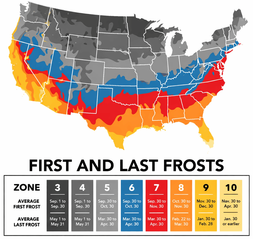 United States frost date map showing average first and last frosts, helping gardeners decide when to plant in March