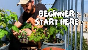 Cédric showing 10 Best Gardening Tips for Beginners