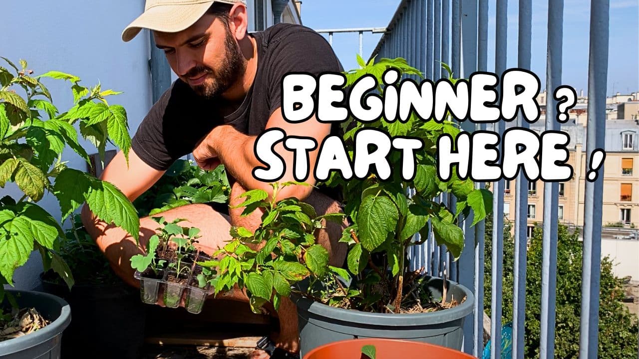Cédric showing 10 Best Gardening Tips for Beginners