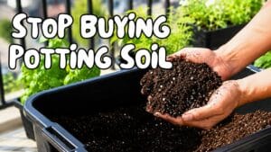 Close-up of hands holding a handful of homemade potting soil showing a rich and airy texture